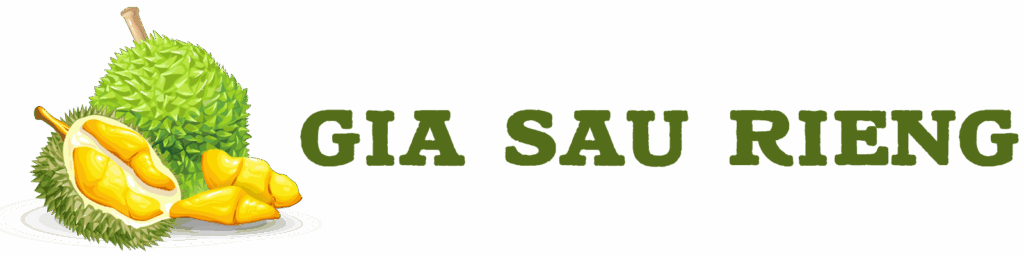 giasaurienghomnaycomvn