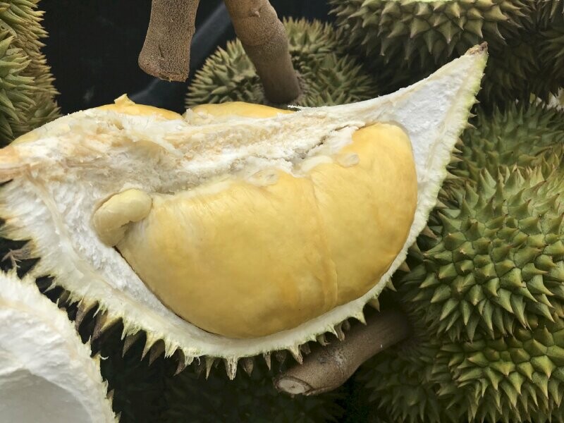 Gia Sau Rieng Hom Nay 1